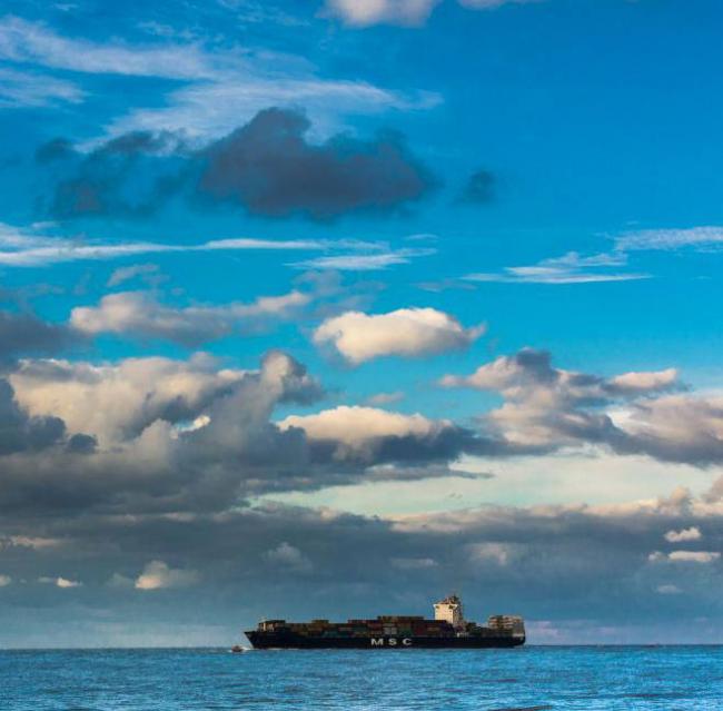 Le Havre, une place portuaire spécialisée reefer